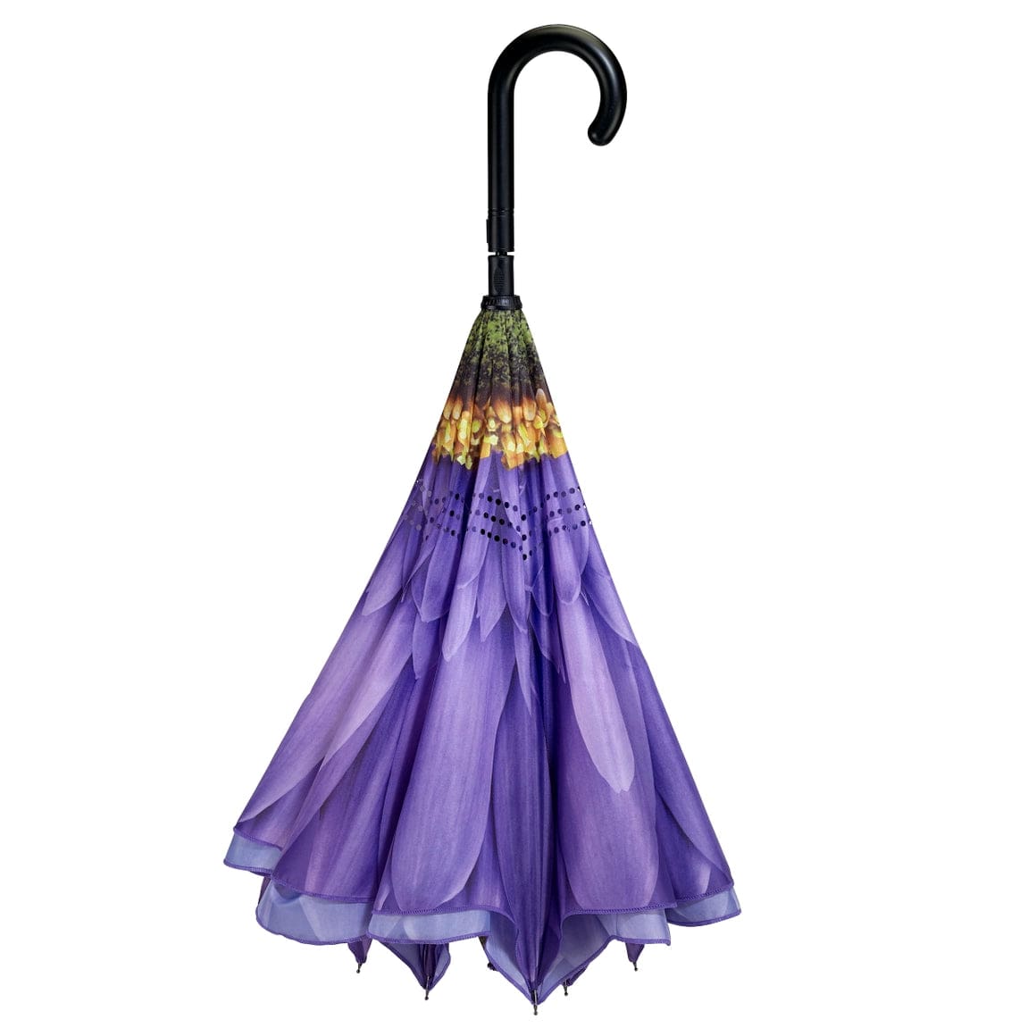 Purple Daisy Stick Umbrella Reverse Close、mySite、g9winljtr