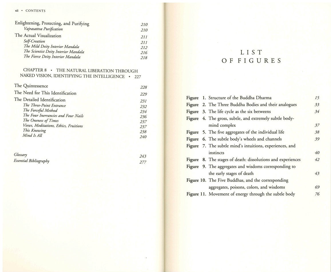 The Tibetan Book of the Dead: The Great Book of Natural Liberation Through Understanding in the Between、mySite、topwebapps