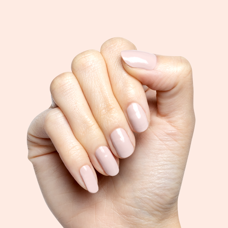 Kitten、mySite、solidvoid