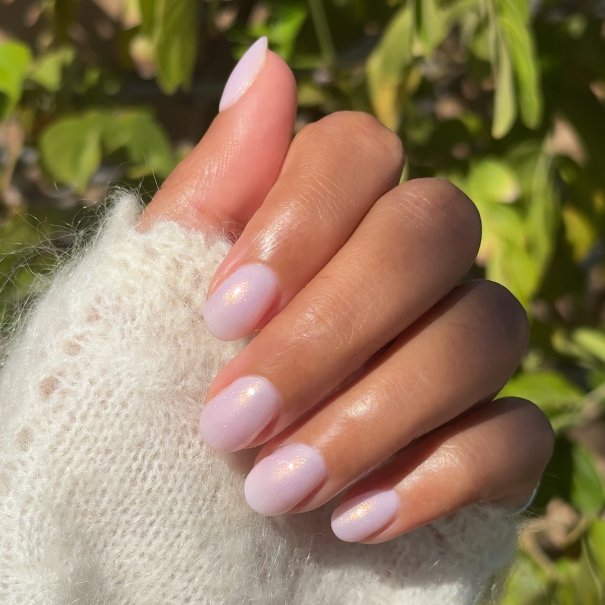 Star Baker、mySite、solidvoid