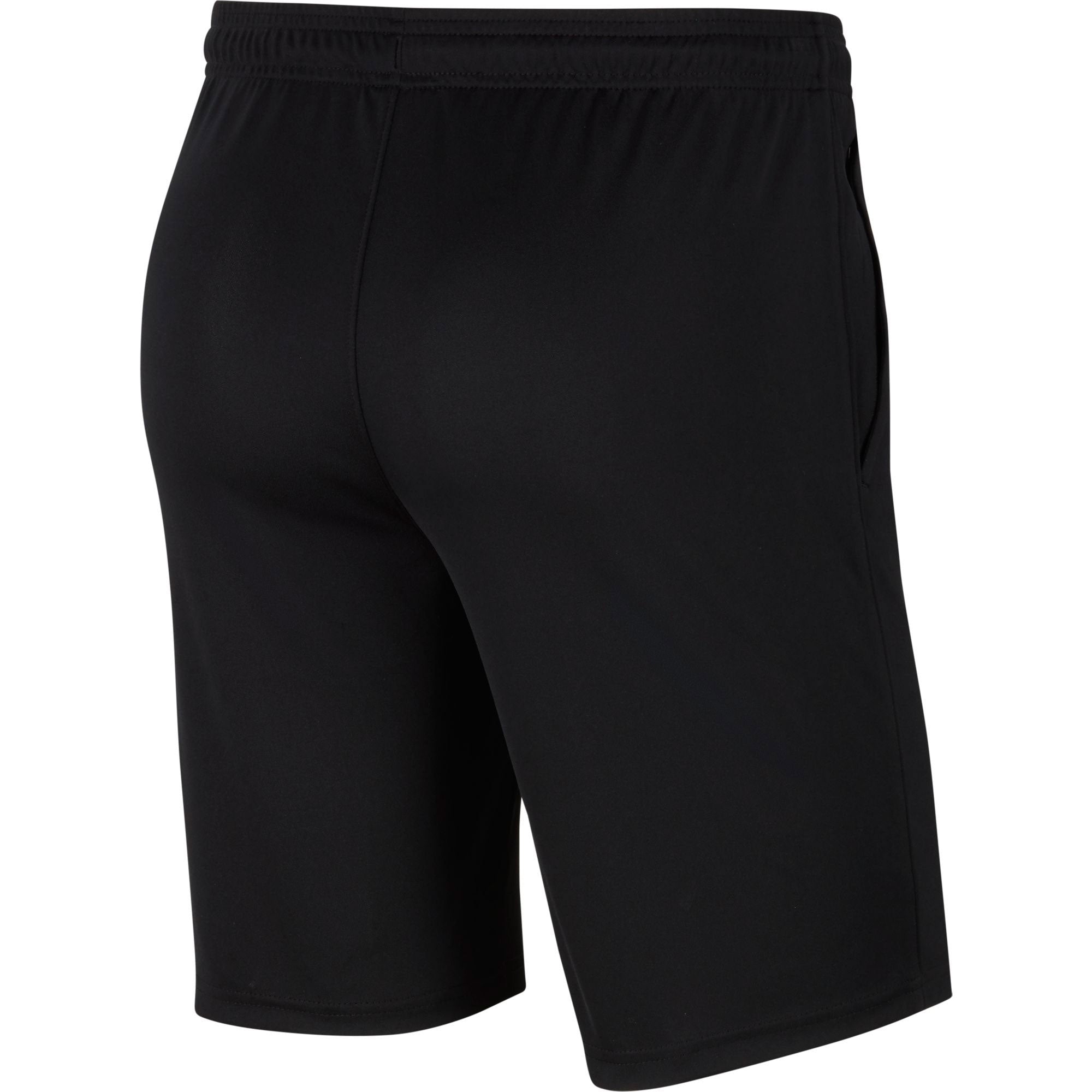Nike Men's Dri-Fit Park 20 Shorts Black/White、mySite、noshort