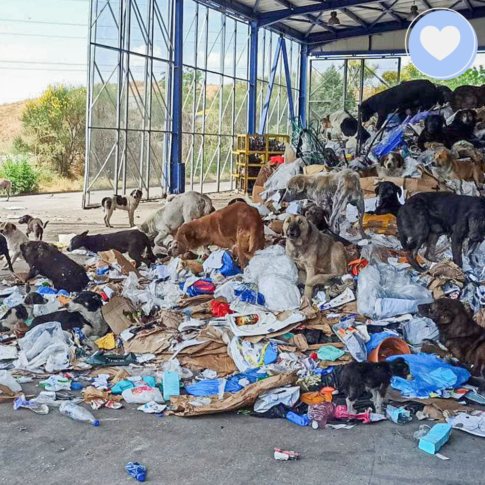 Funded: Helios Needs You to Beat Malnourishment and Neglect、mySite、camillekostekn