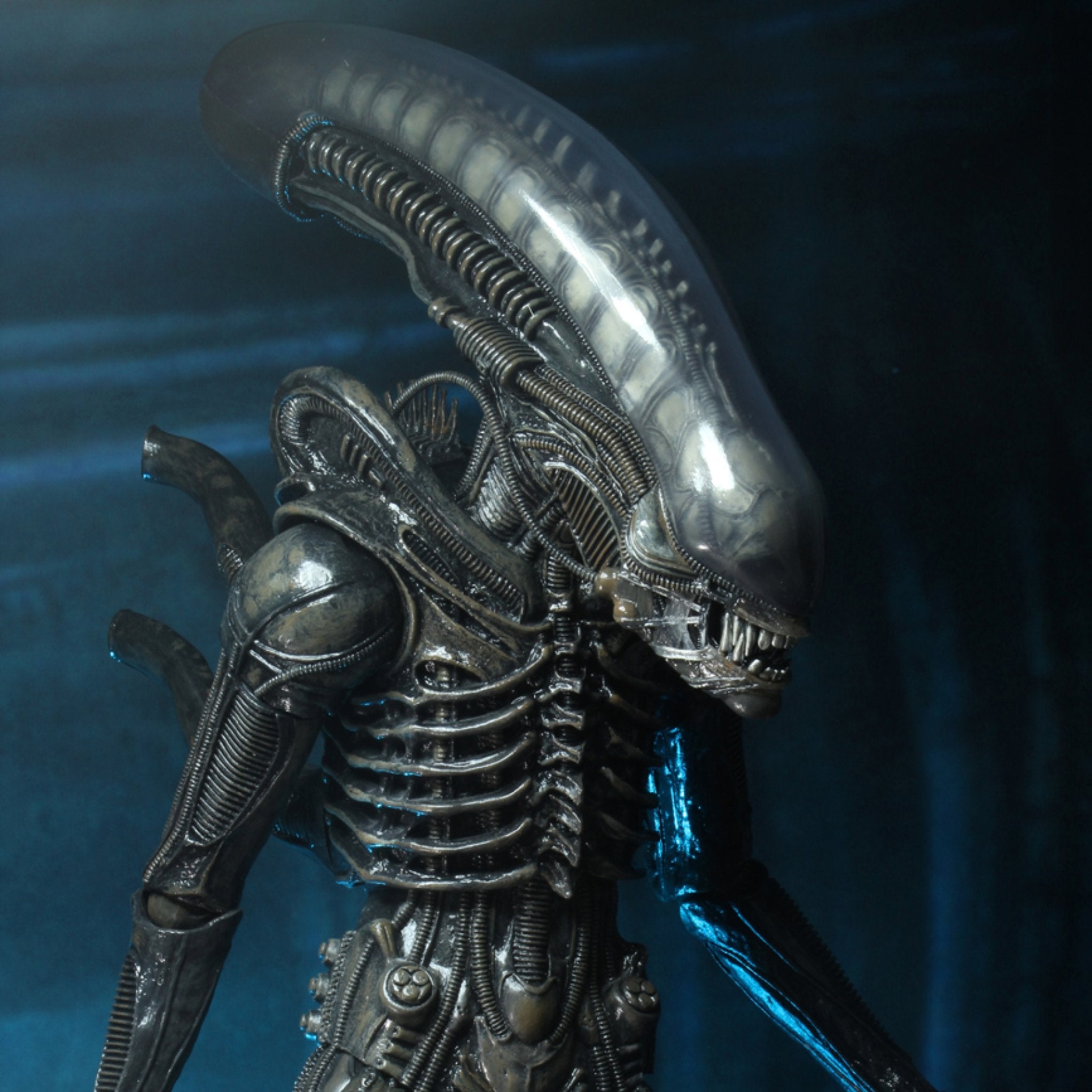 NECA Alien Ultimate 40th Anniversary Big Chap (1:4 Scale) (Re-Issue)、mySite、hgirdovlk