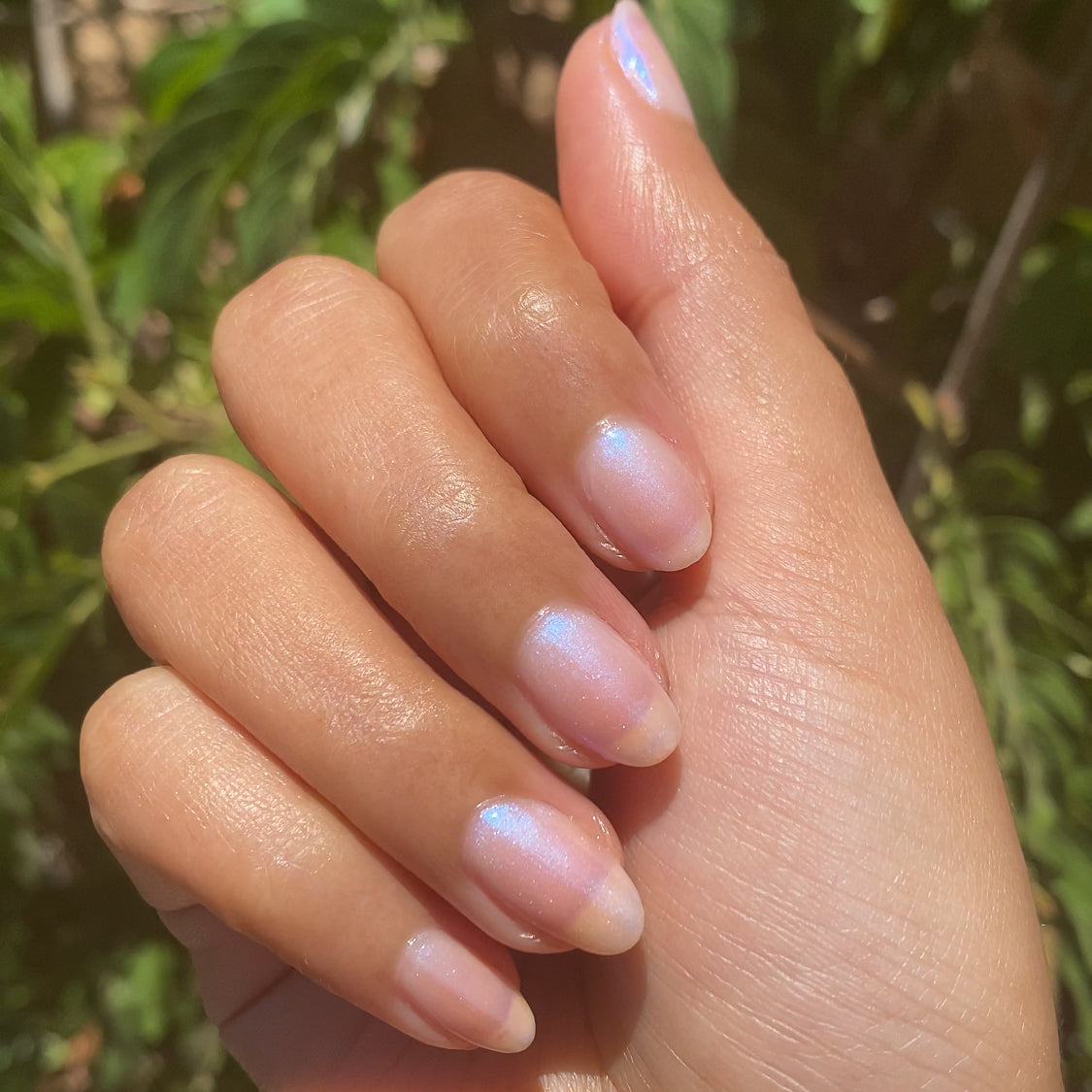 Pink Goldfish、mySite、solidvoid