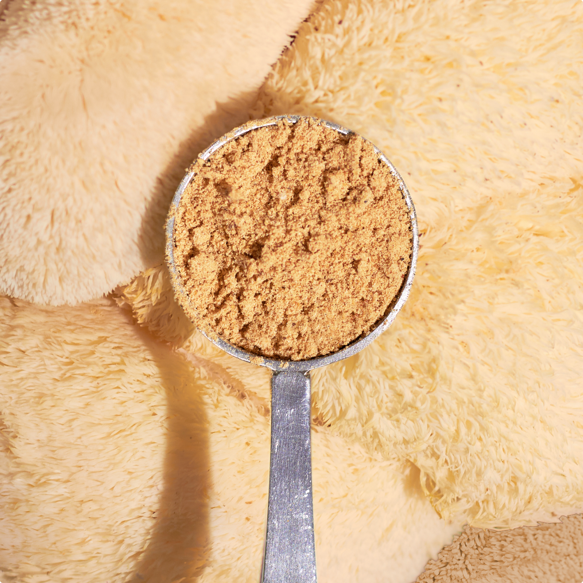 Organic Lion's Mane Mushroom Powder、mySite、gigharbornorthrealestate