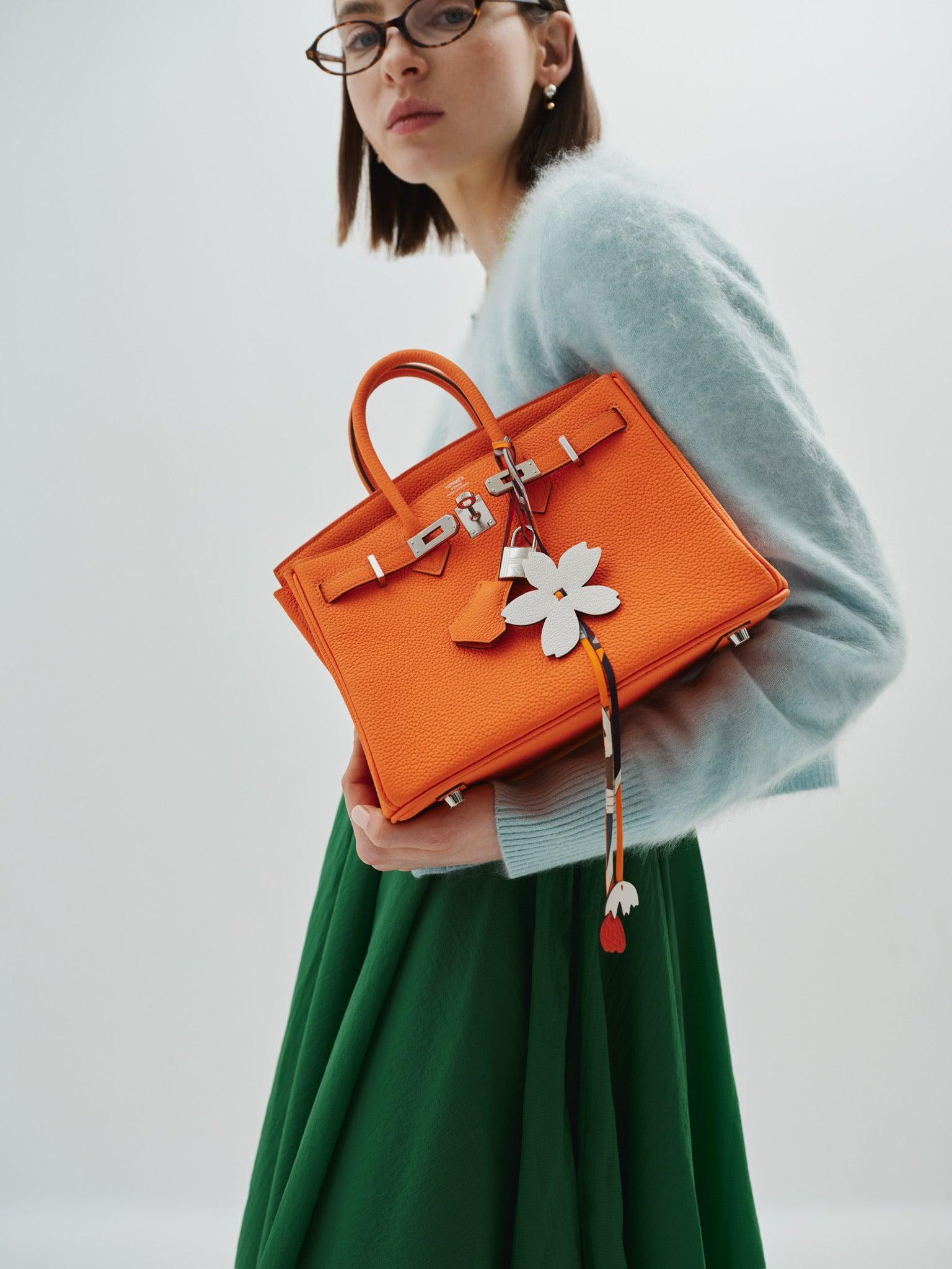 Hermès Birkin 25 Orange Minium Togo Palladium Hardware、mySite、garminoutage.com