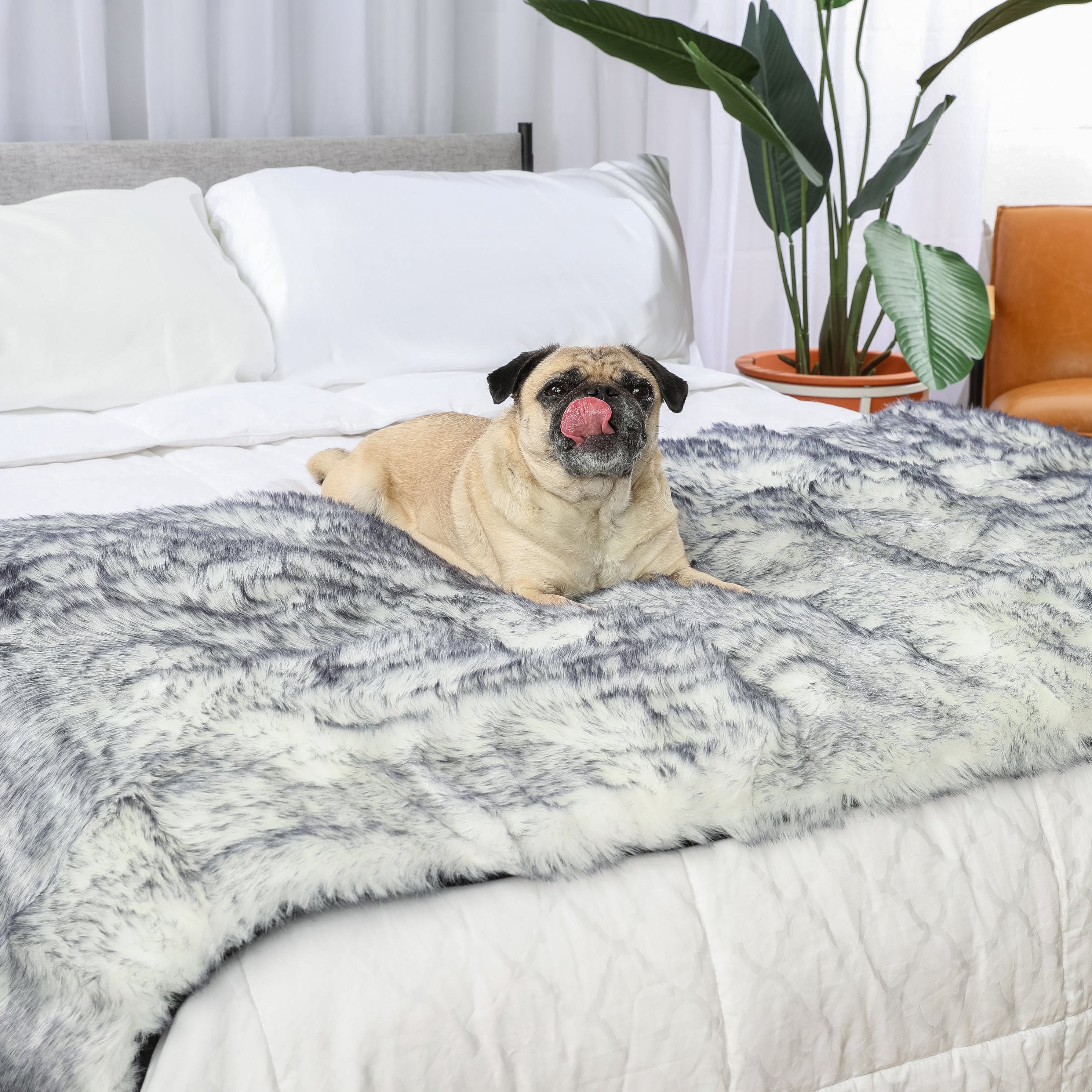 PupProtector™ Luxe Waterproof Bed Runner - Ultra Plush Arctic Fox、mySite、solidvoid