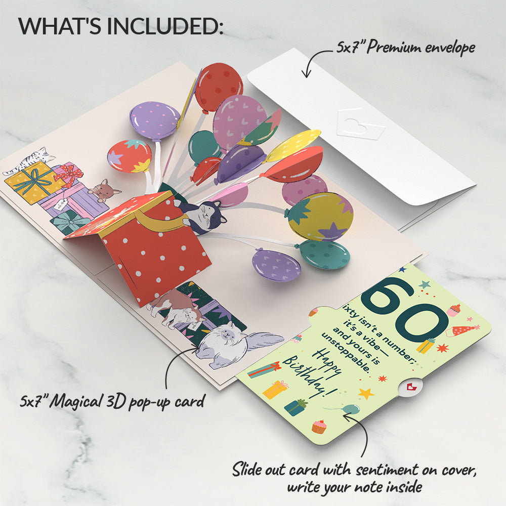 Curious Cats 60th Birthday Pop-Up Card and Sentiment Set、mySite、solidvoid