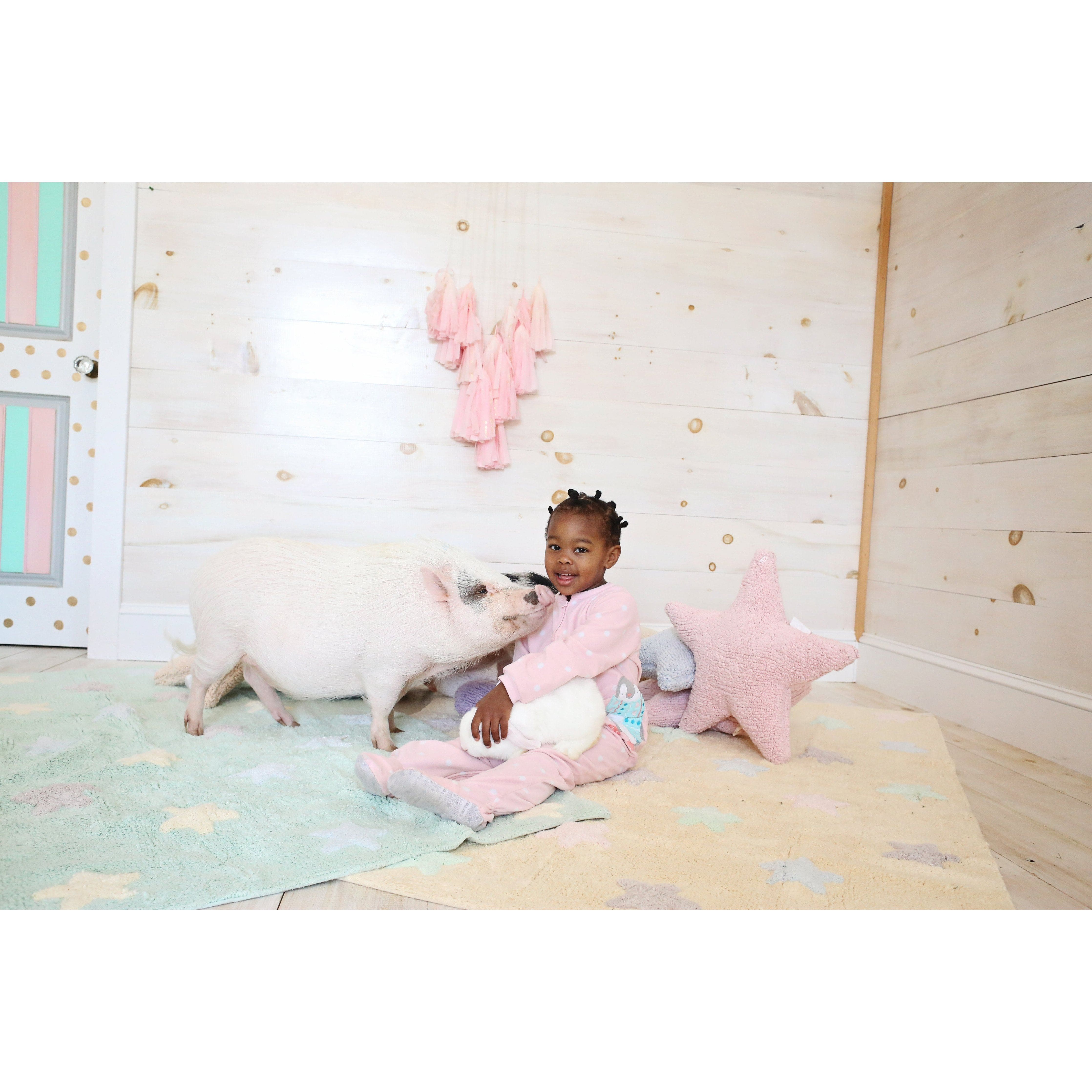 Star Pink Cushion、mySite、gigharbornorthrealestate