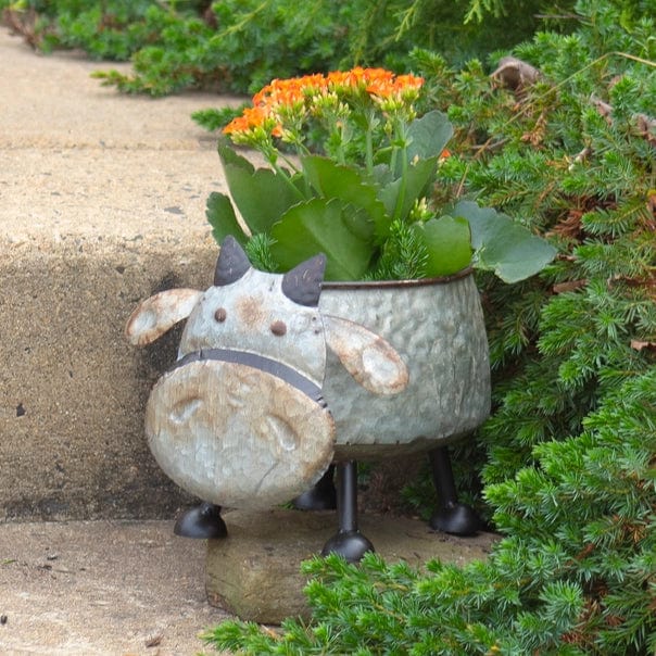 Galvanized Animal Planters in 6 Assorted Styles、mySite、g9winljtr