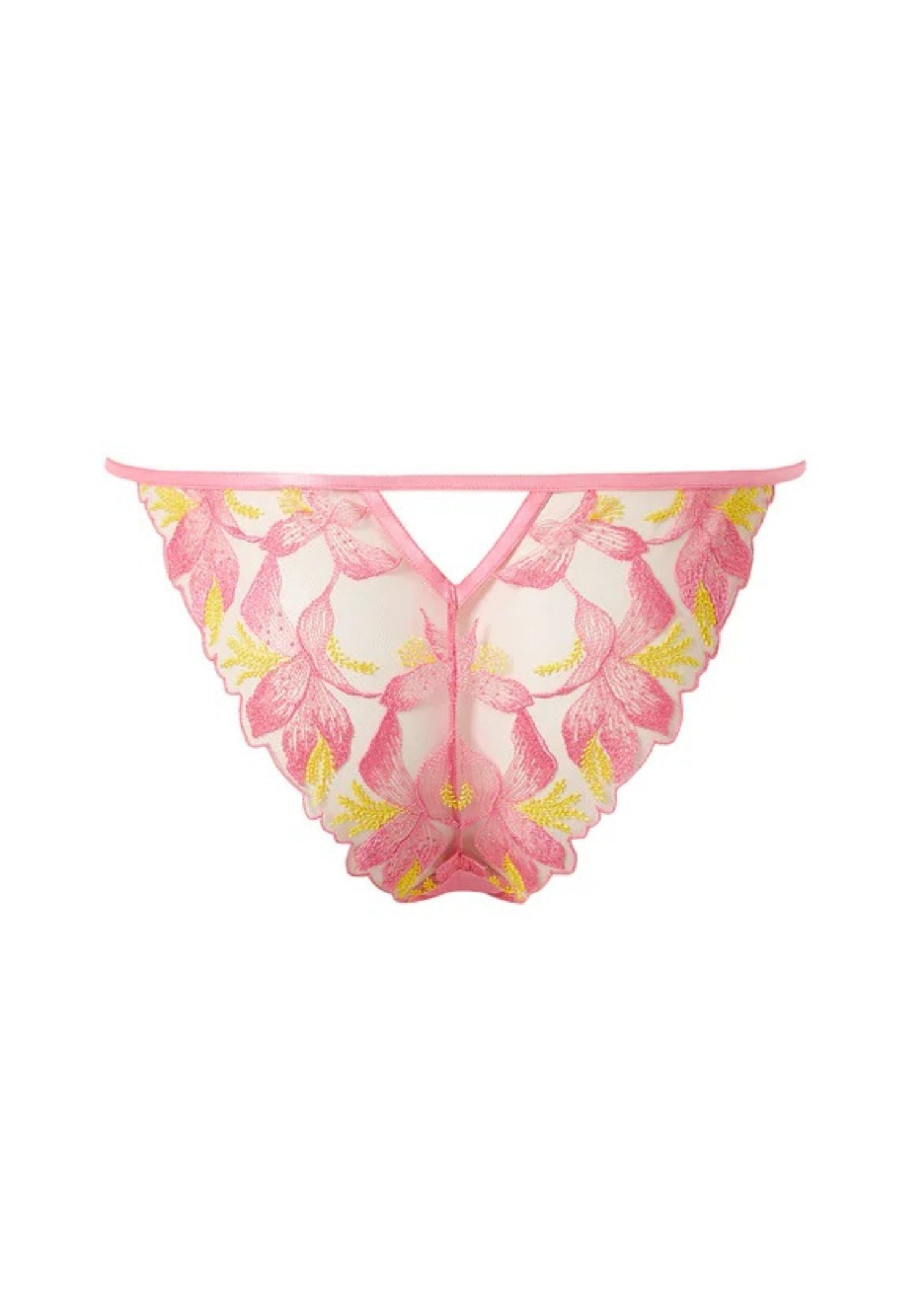  Patrice Panty (Dianthus Pink/Blazing Yellow)、mySite、justintrudeaud