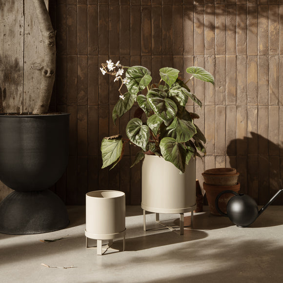  Bau Pot、mySite、sugarbowlscore