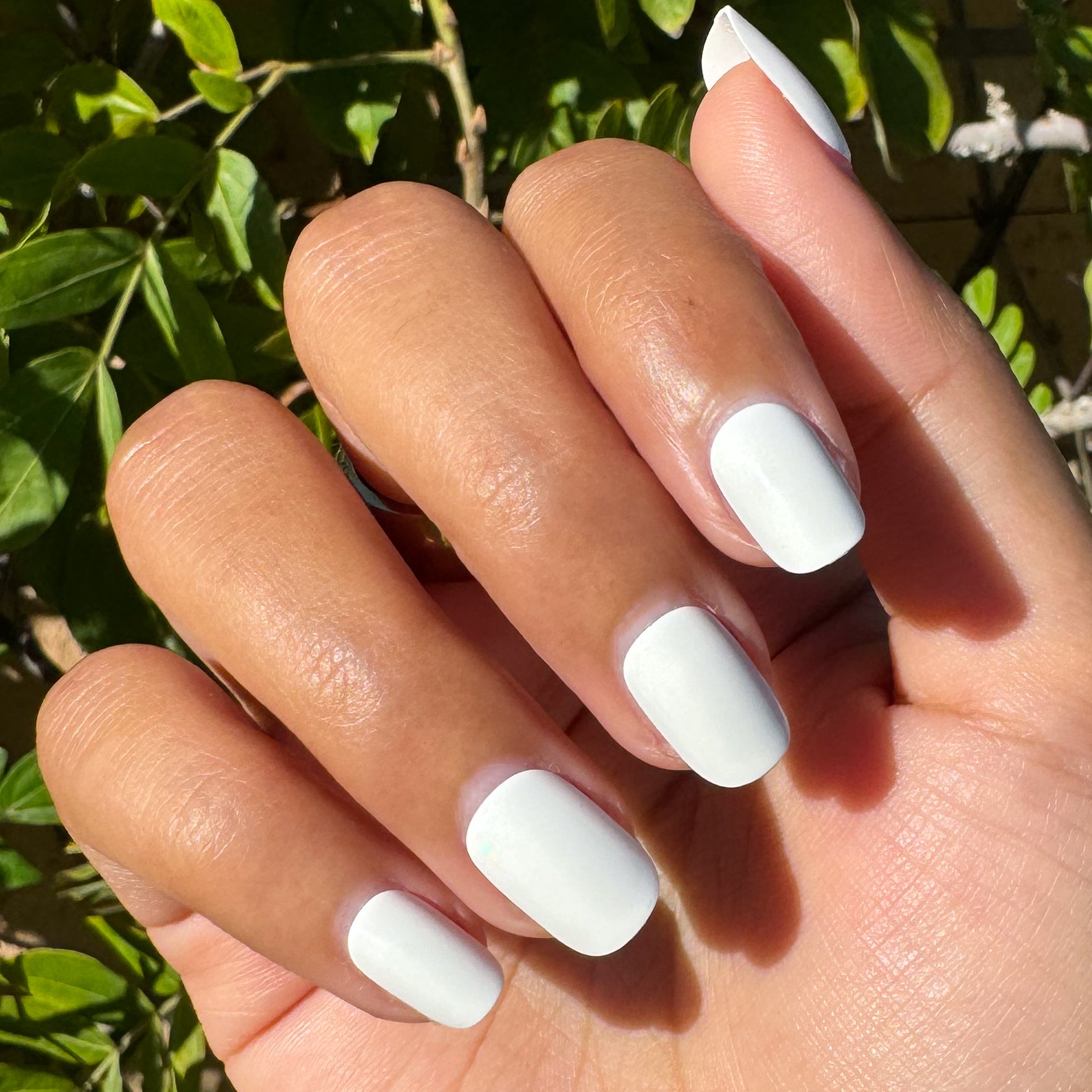 Swan | Extra Short | Squoval - Tab Press-On、mySite、solidvoid