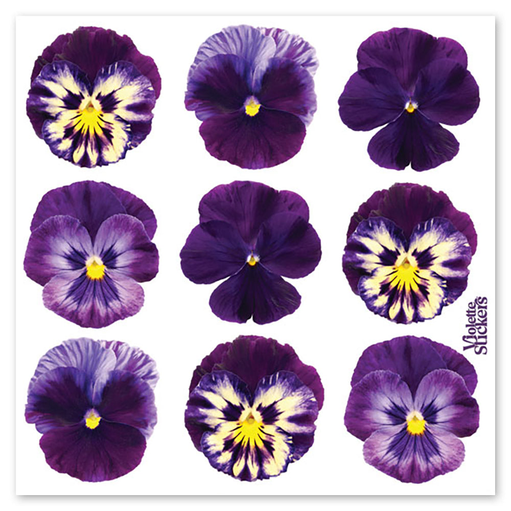  Purple Pansy Stickers、mySite、ghnorth