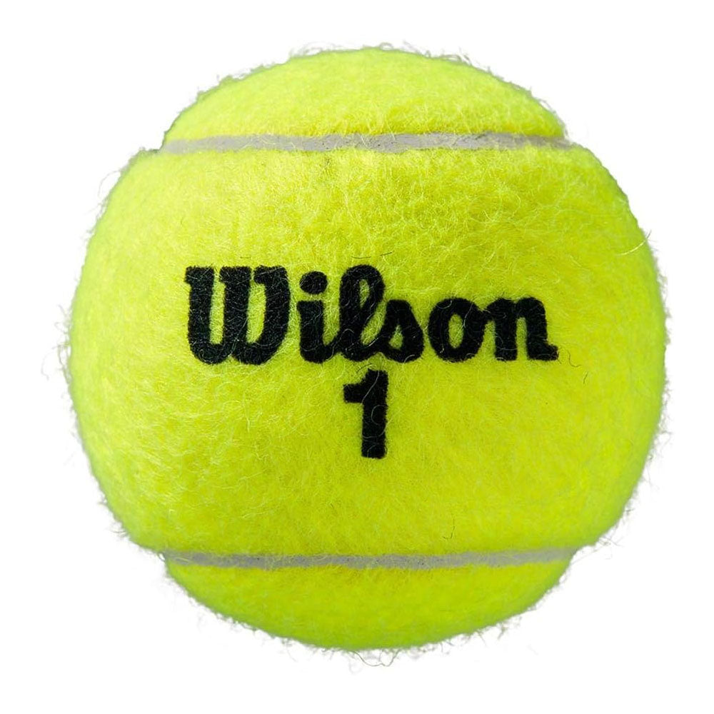 Wilson Roland Garros Clay Court Tennis Balls - 24 Can Case
