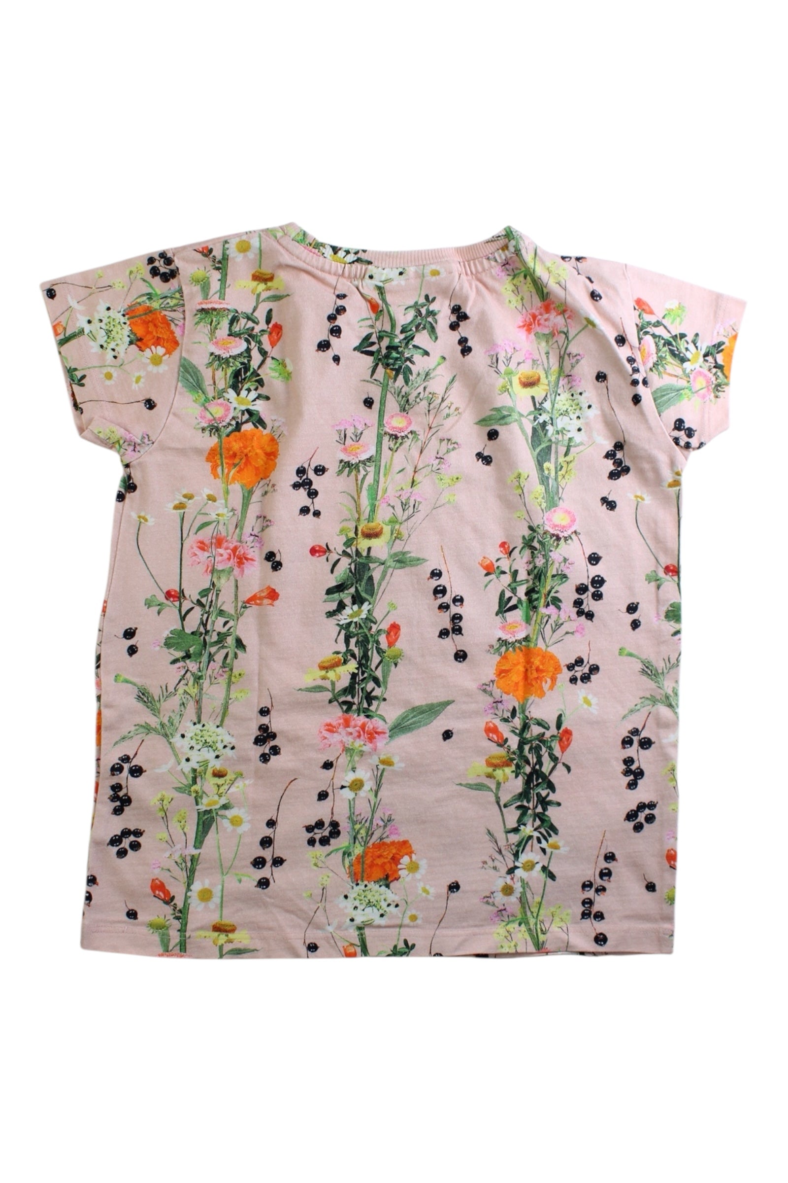 Molo Floral Short Sleeve Tee 6T、mySite、g9winljtr