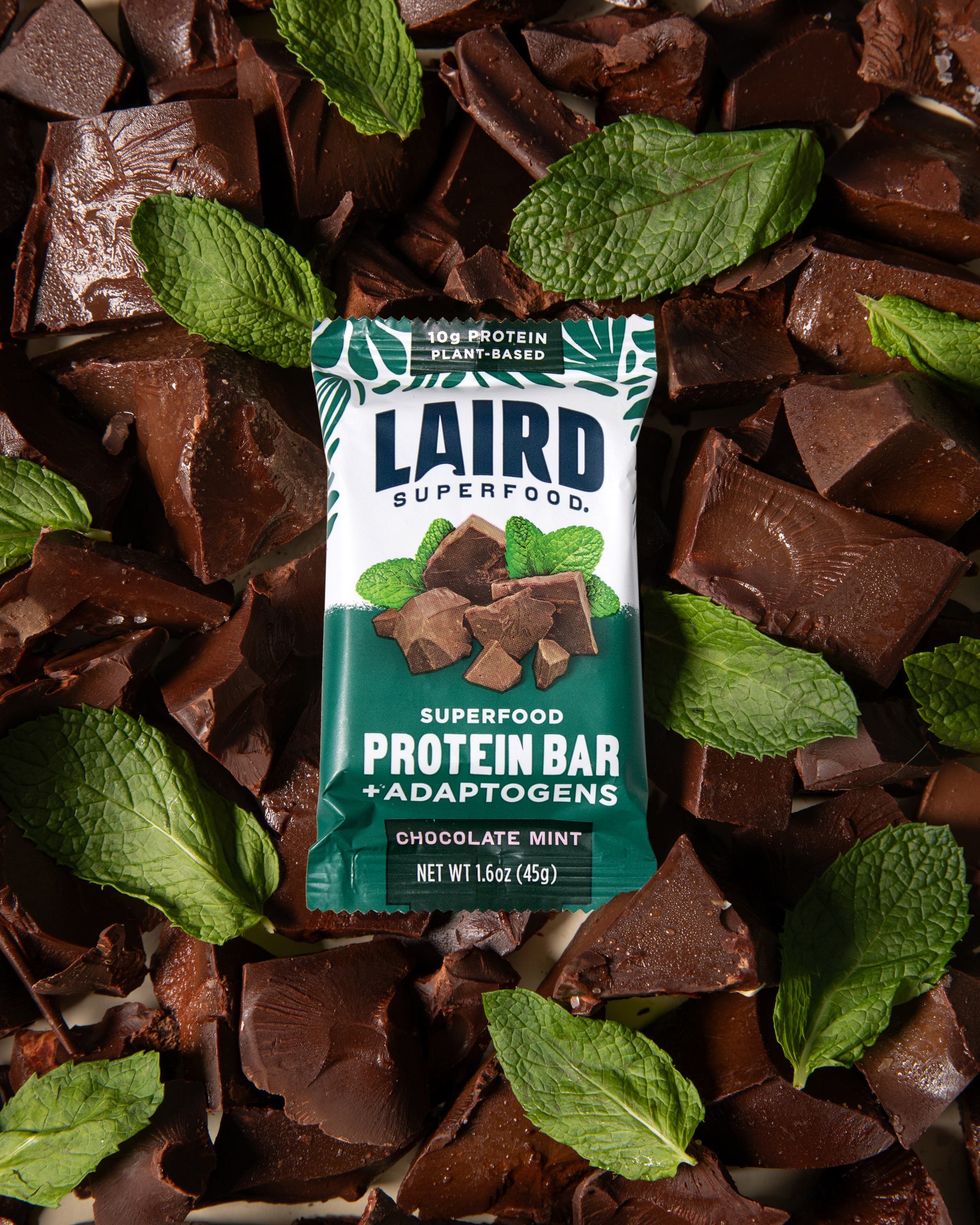 Big Wave Starter Bundle、mySite、gigharbornorthrealestate