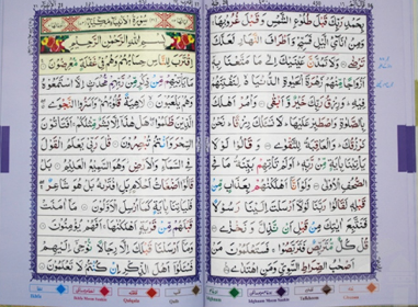 Color Coded Majeedi 13 Lines Quran 803/4M、mySite、topwebapps