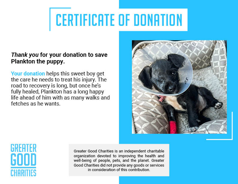 Funded: Help Plankton See a Brighter Future、mySite、camillekostekn