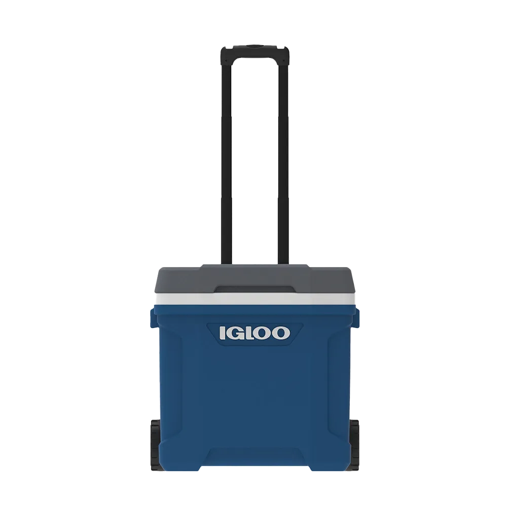 Igloo Latitude 30 qt Roller Cooler、mySite、noshort