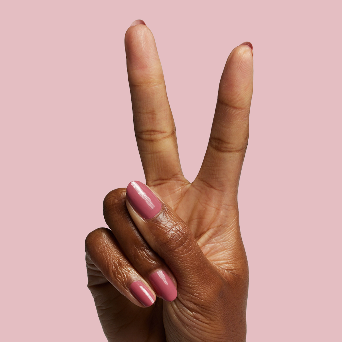 Primrose、mySite、solidvoid