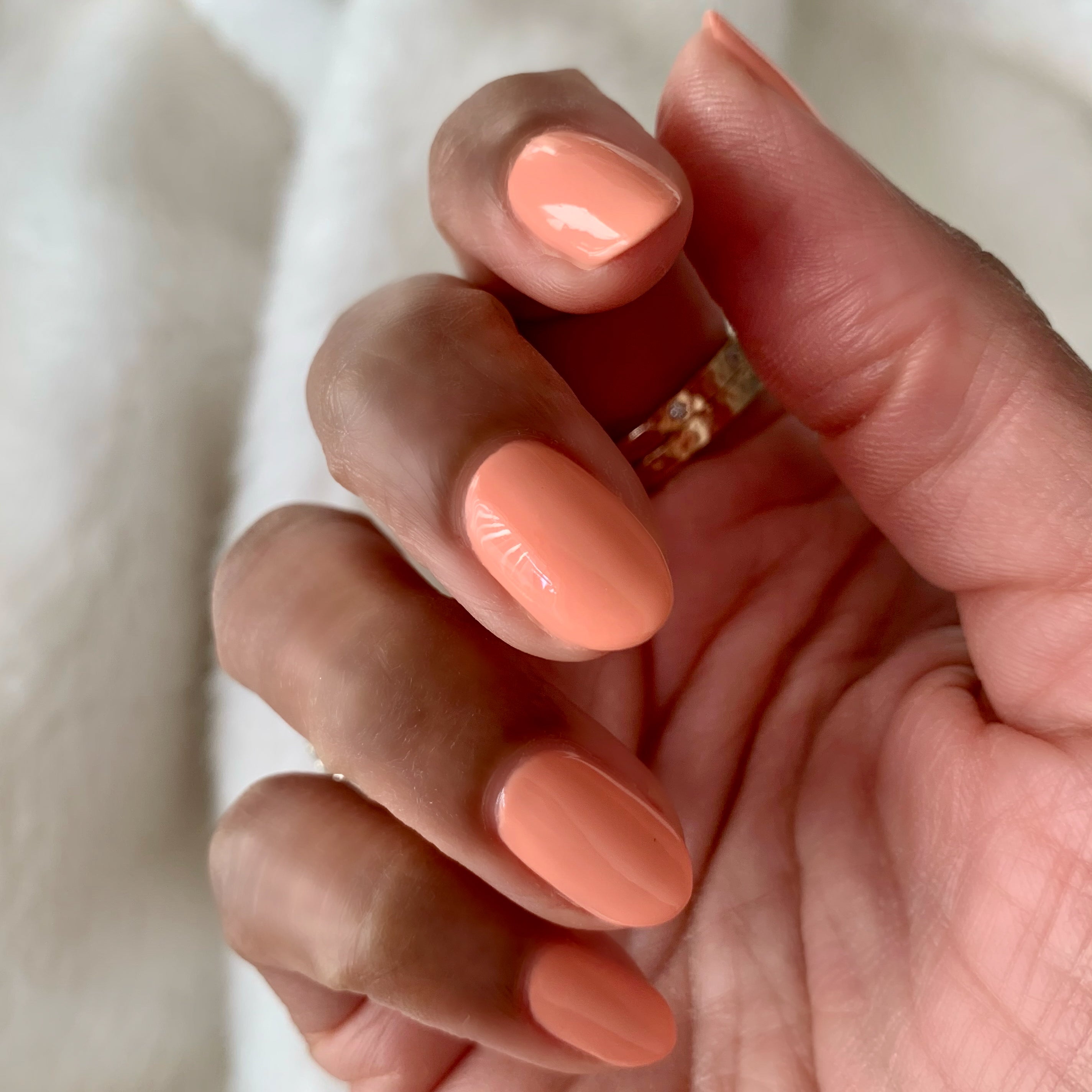 Wild & Free、mySite、solidvoid