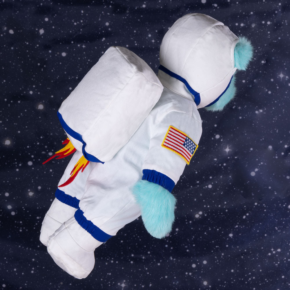 15 In. Interstellar Bear、mySite、pszhyizbm