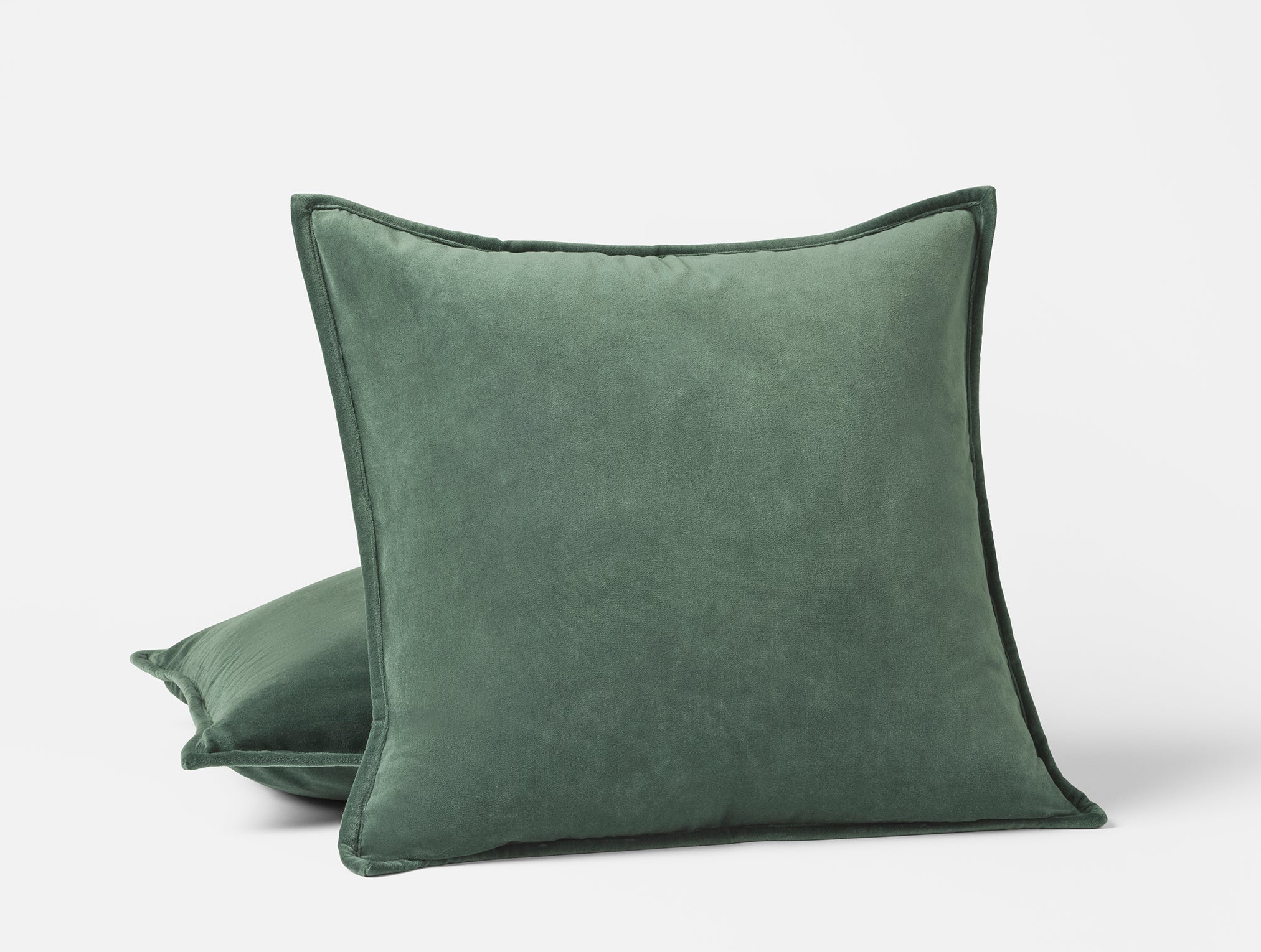  Velvet Organic Pillow Cover - Renewed、mySite、sugarbowlscore
