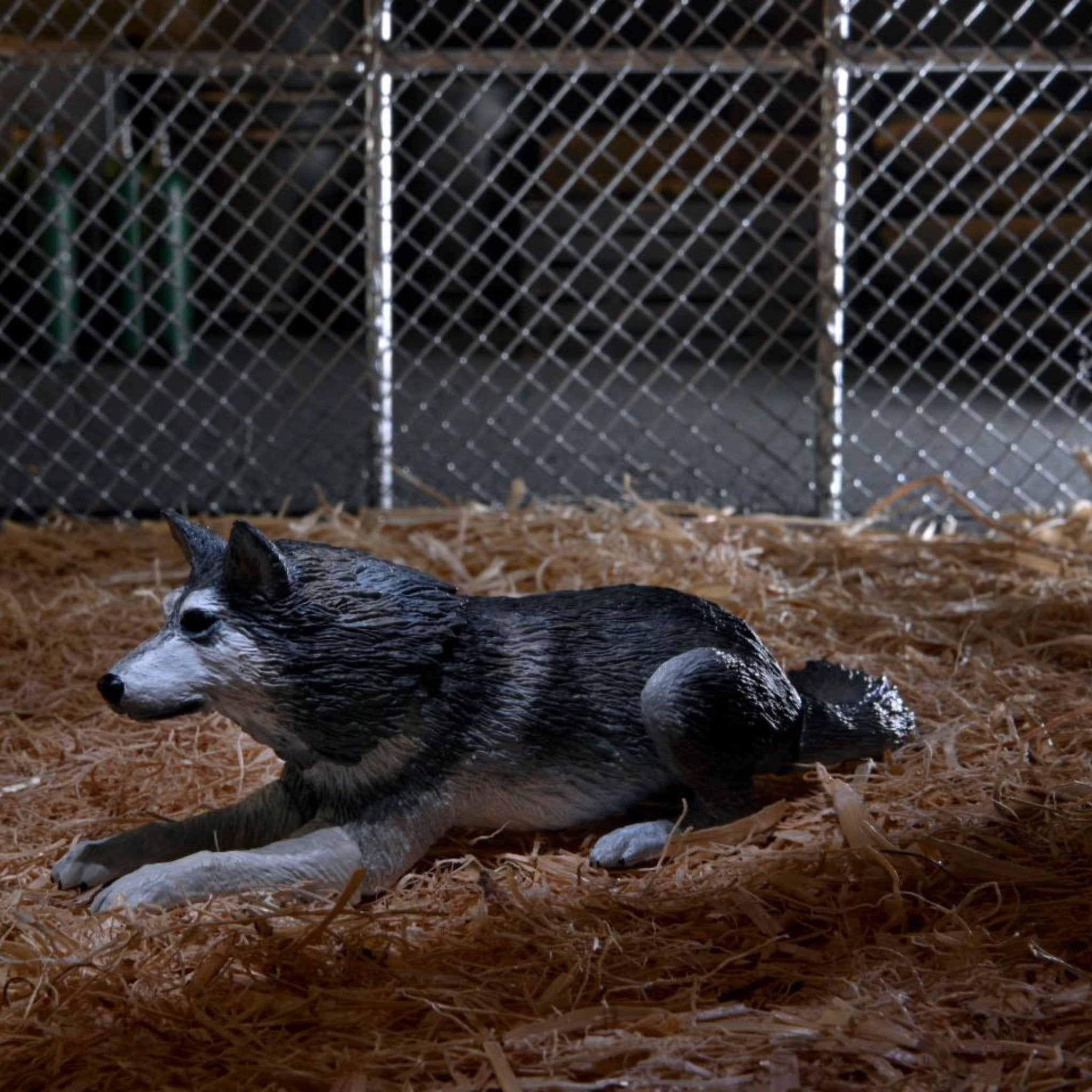 NECA The Thing Deluxe Ultimate Dog Creature、mySite、hgirdovlk