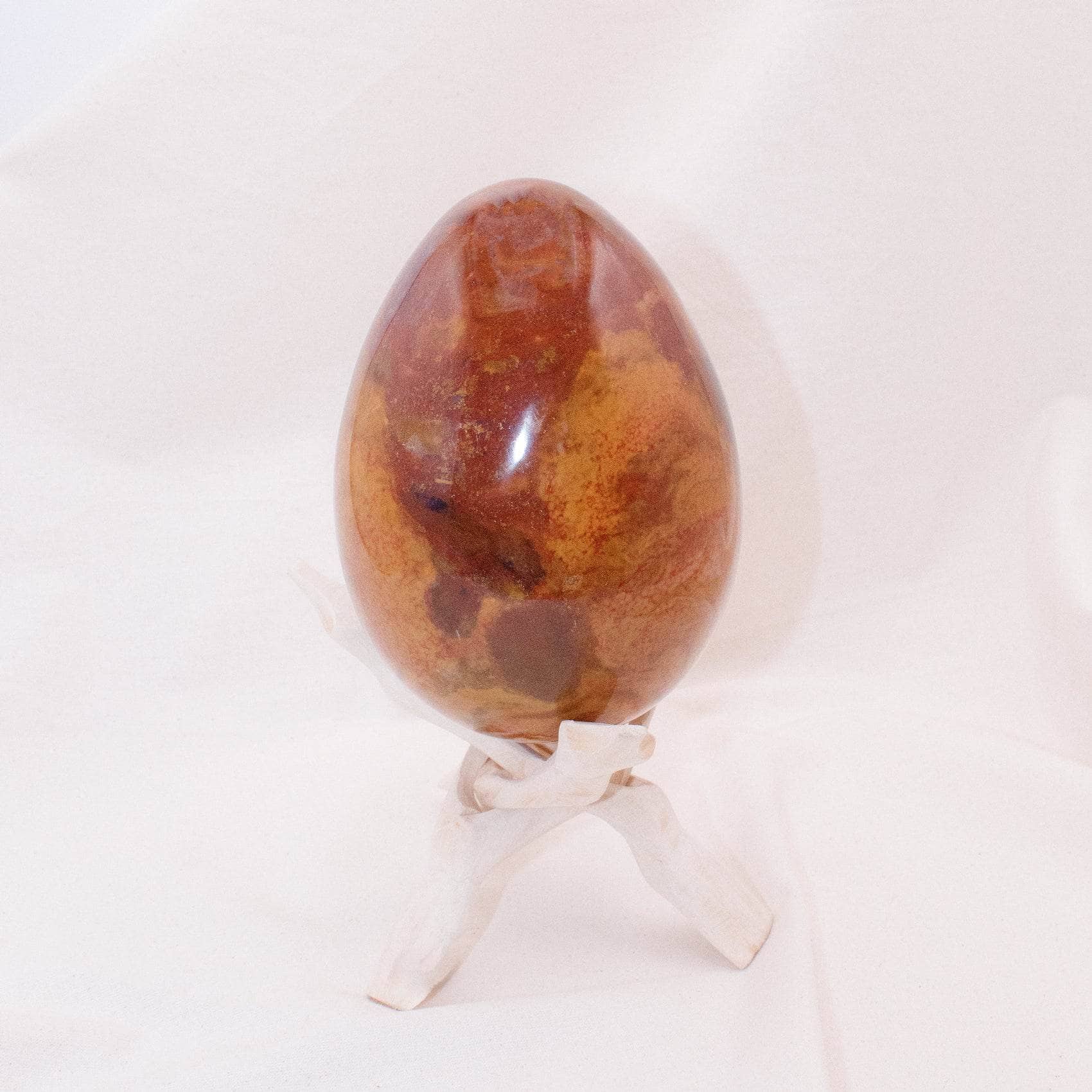 Petrified Wood Egg - AAA Premium Quality、mySite、hinf8tx79