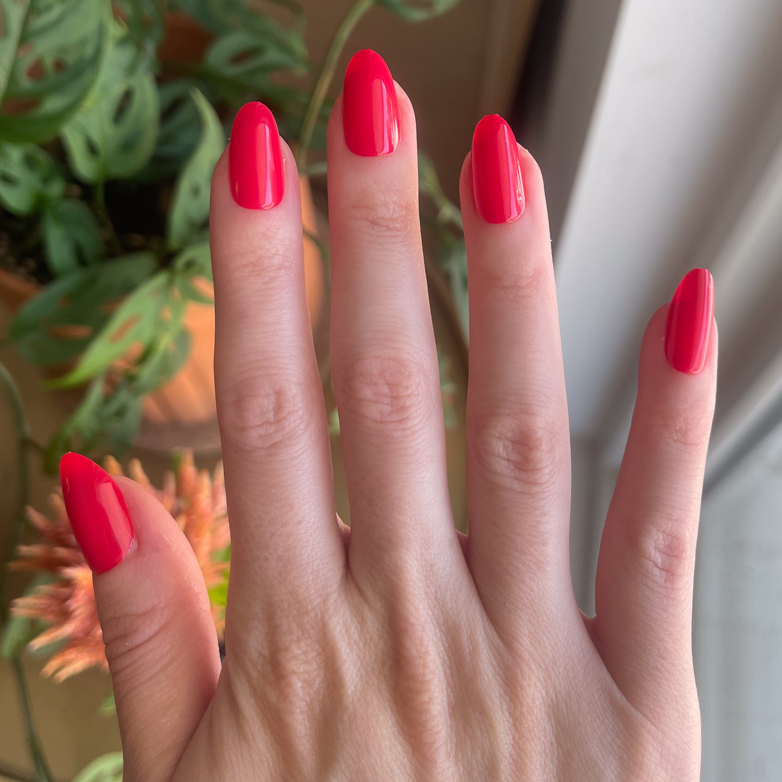 Hibiscus - Press-On | Medium | Oval、mySite、solidvoid