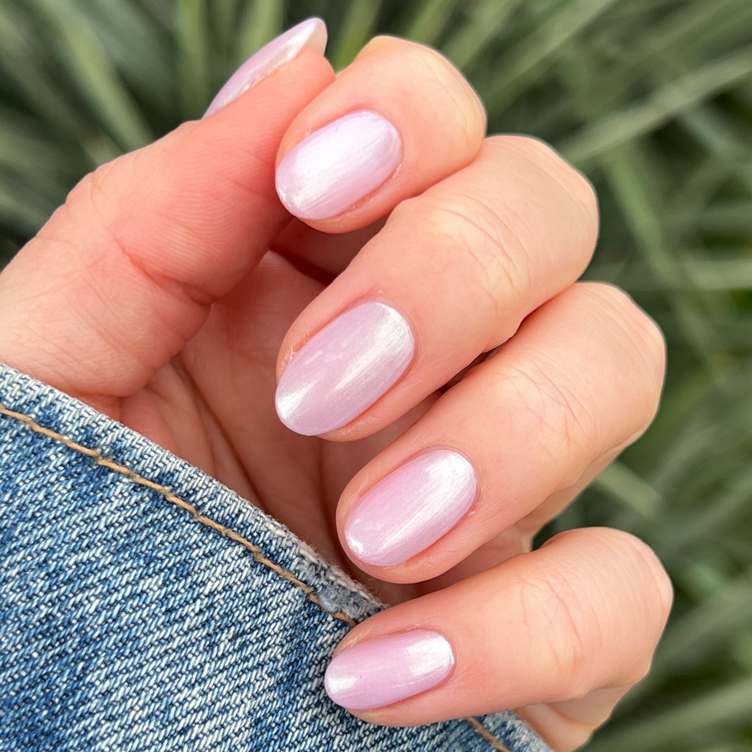 Purple Puka、mySite、solidvoid