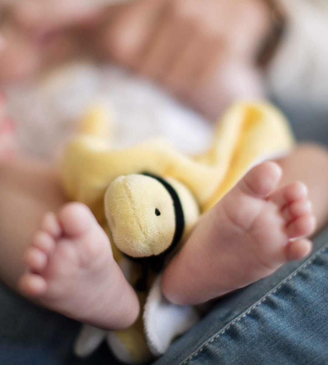  Hold Me Bee Organic Plush Lovey、mySite、layawaytickets