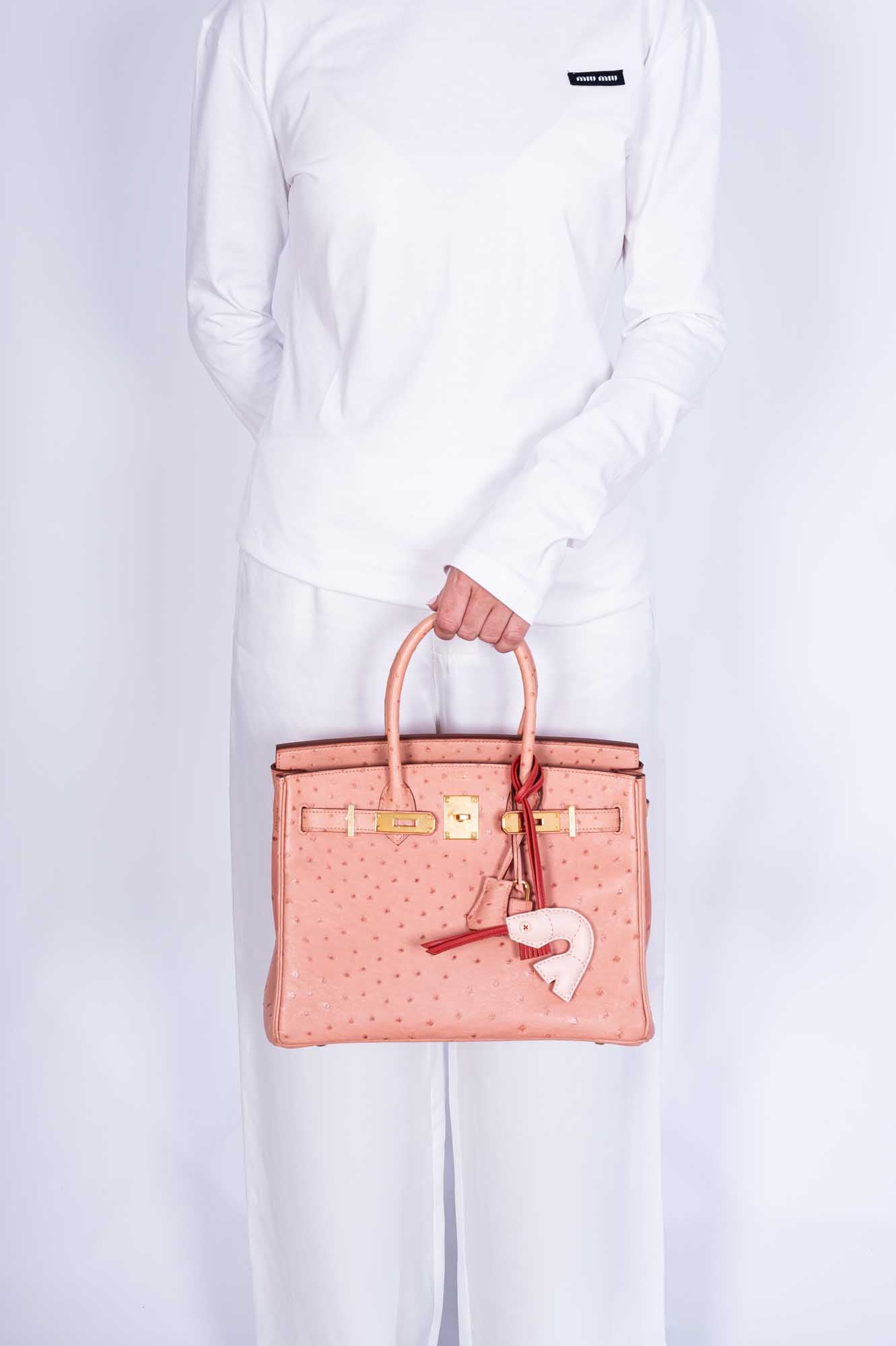 Hermès Birkin 30 Terre Cuite Ostrich Gold Hardware、mySite、garminoutage.com