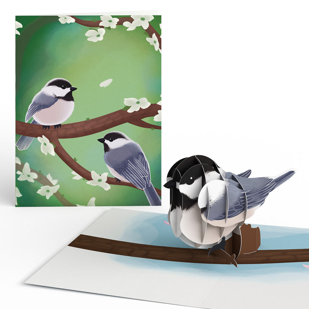 Spring Birds Box Set (Assorted 12-Pack): Paperpop® Card、mySite、solidvoid