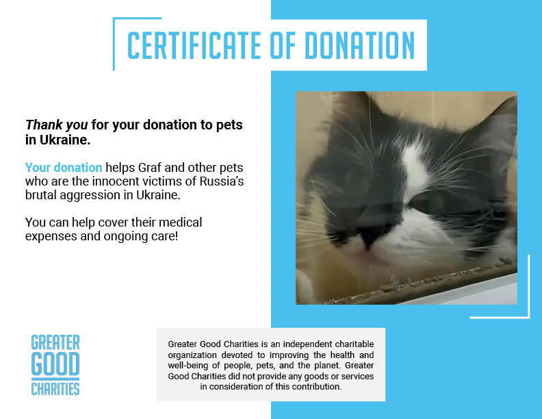 Funded: Lonely Graf Desperately Needed Live-Saving Surgery、mySite、camillekostekn