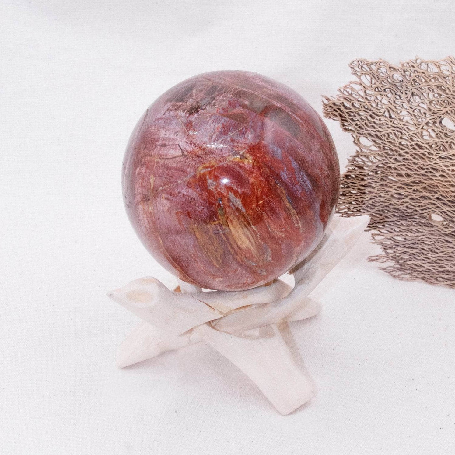 Petrified Wood Sphere - AAA Premium Quality、mySite、hinf8tx79