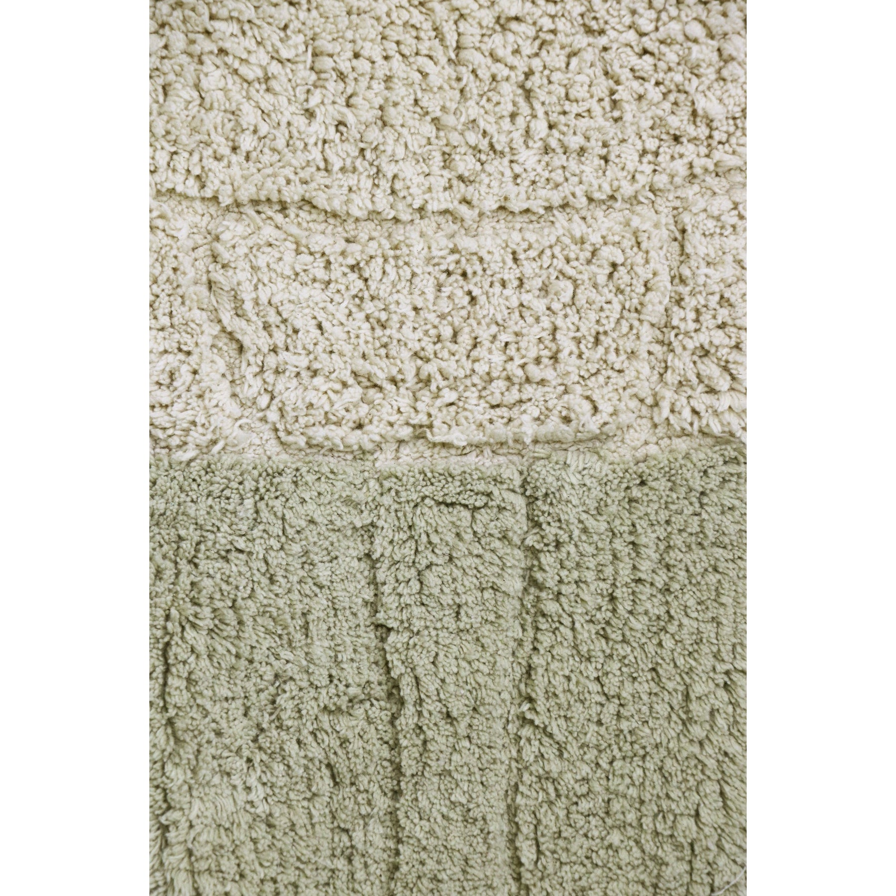Sea Wonders Sea Turtle Washable Rug、mySite、gigharbornorthrealestate