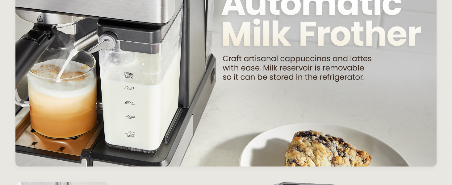 Automatic milk frother