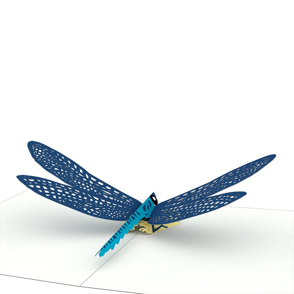 Dragonfly Notecards (4-Pack)、mySite、solidvoid