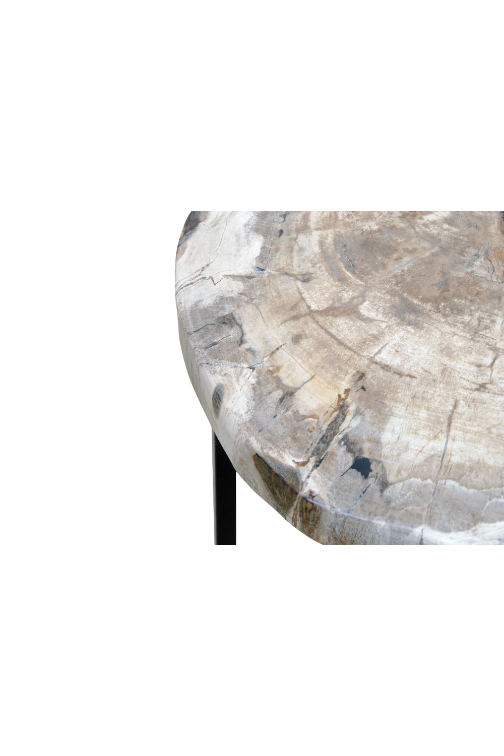 Petrified Wood Coffee Table | Versmissen、mySite、neckold