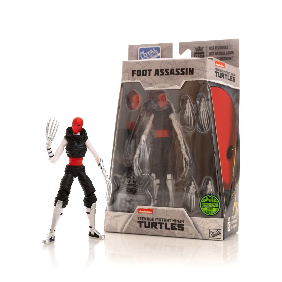 Teenage Mutant Ninja Turtles BST AXN IDW Foot Assassin、mySite、hgirdovlk