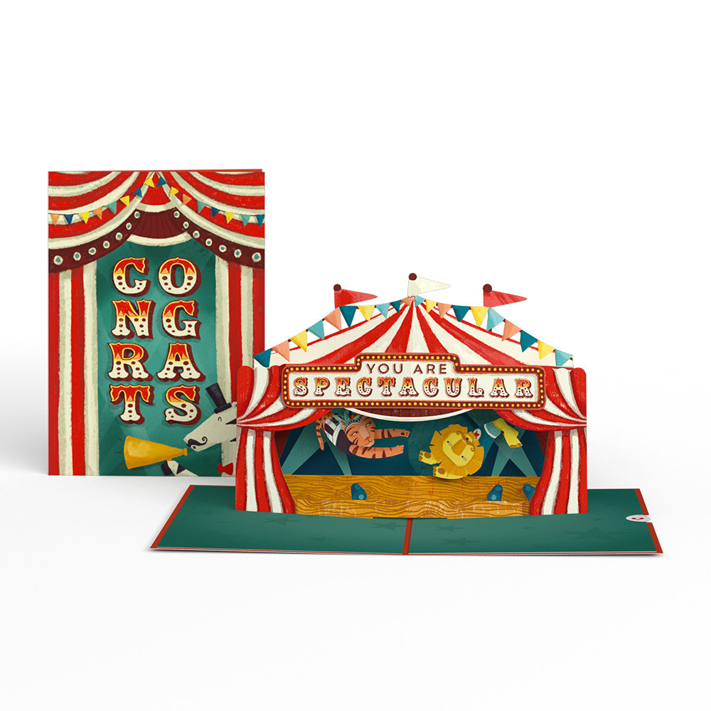 Congrats, You Are Spectacular Pop-Up Card、mySite、solidvoid