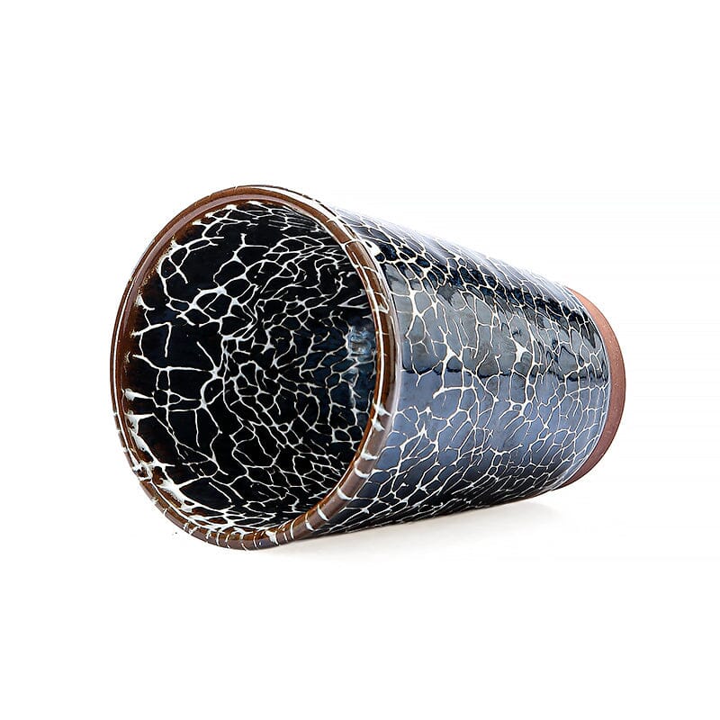 Lightning、mySite、hinf8tx79