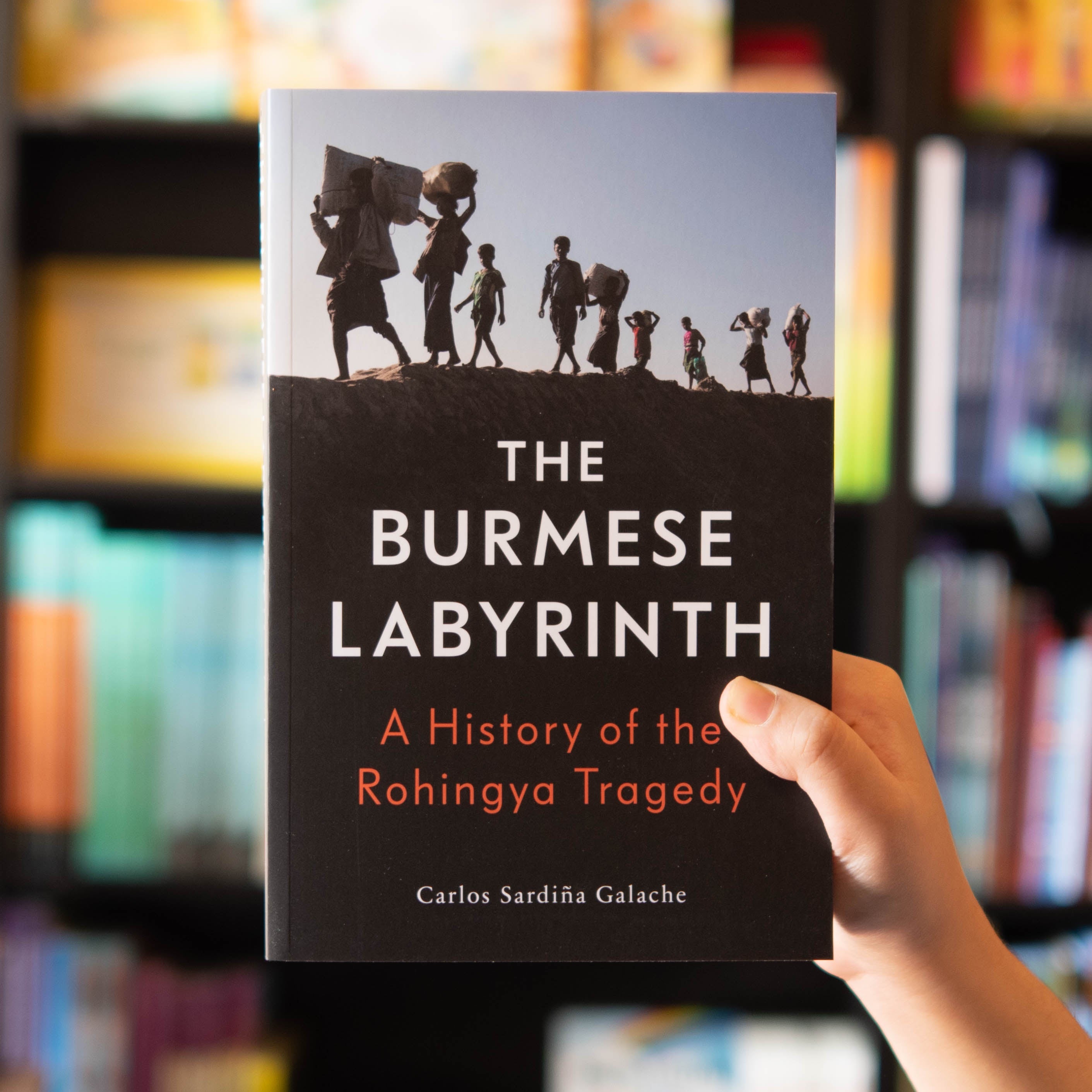 The Burmese Labyrinth: A History of the Rohingya Tragedy、mySite、topwebapps