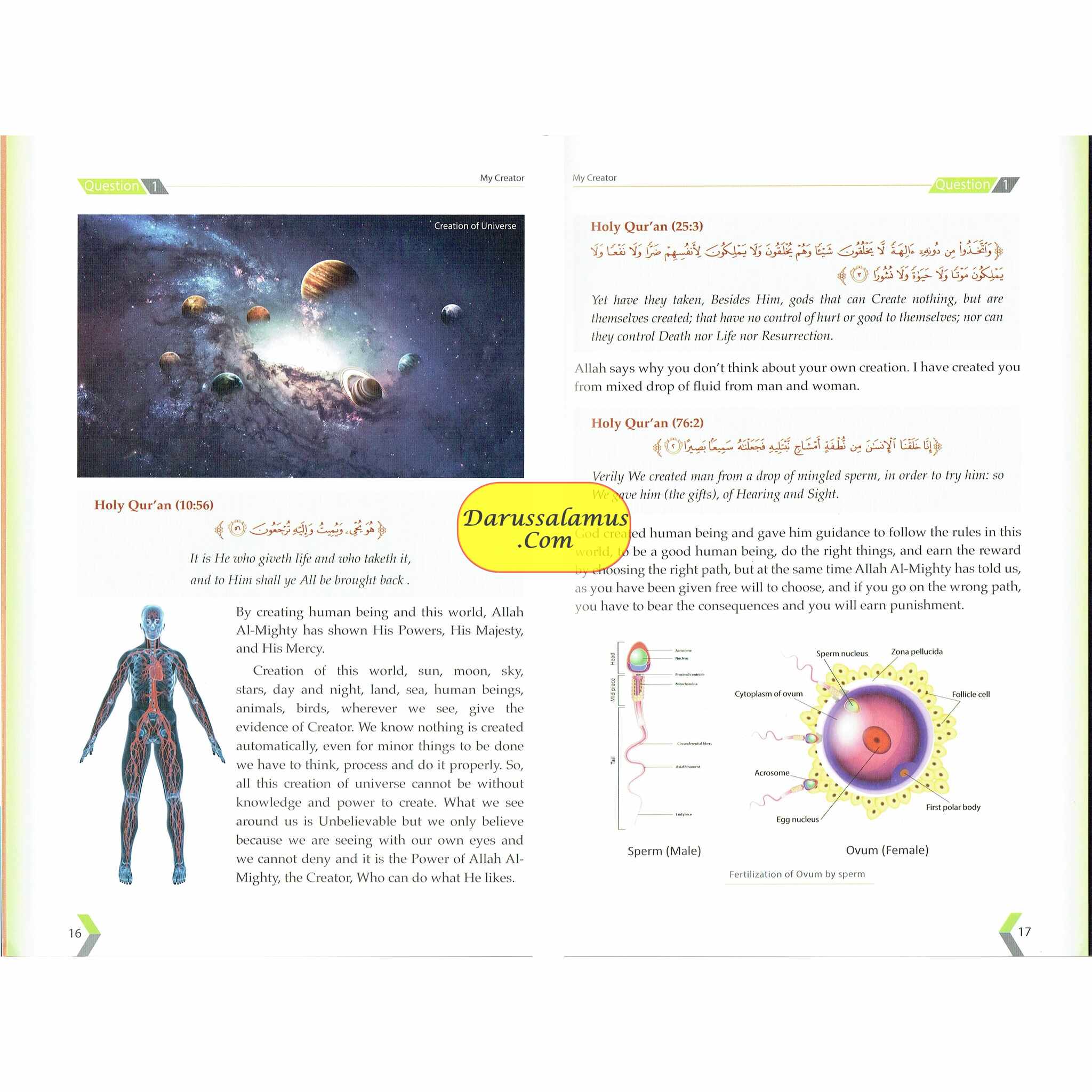 My Creator by Dr. Zahoor Ali Shaikh、mySite、topwebapps