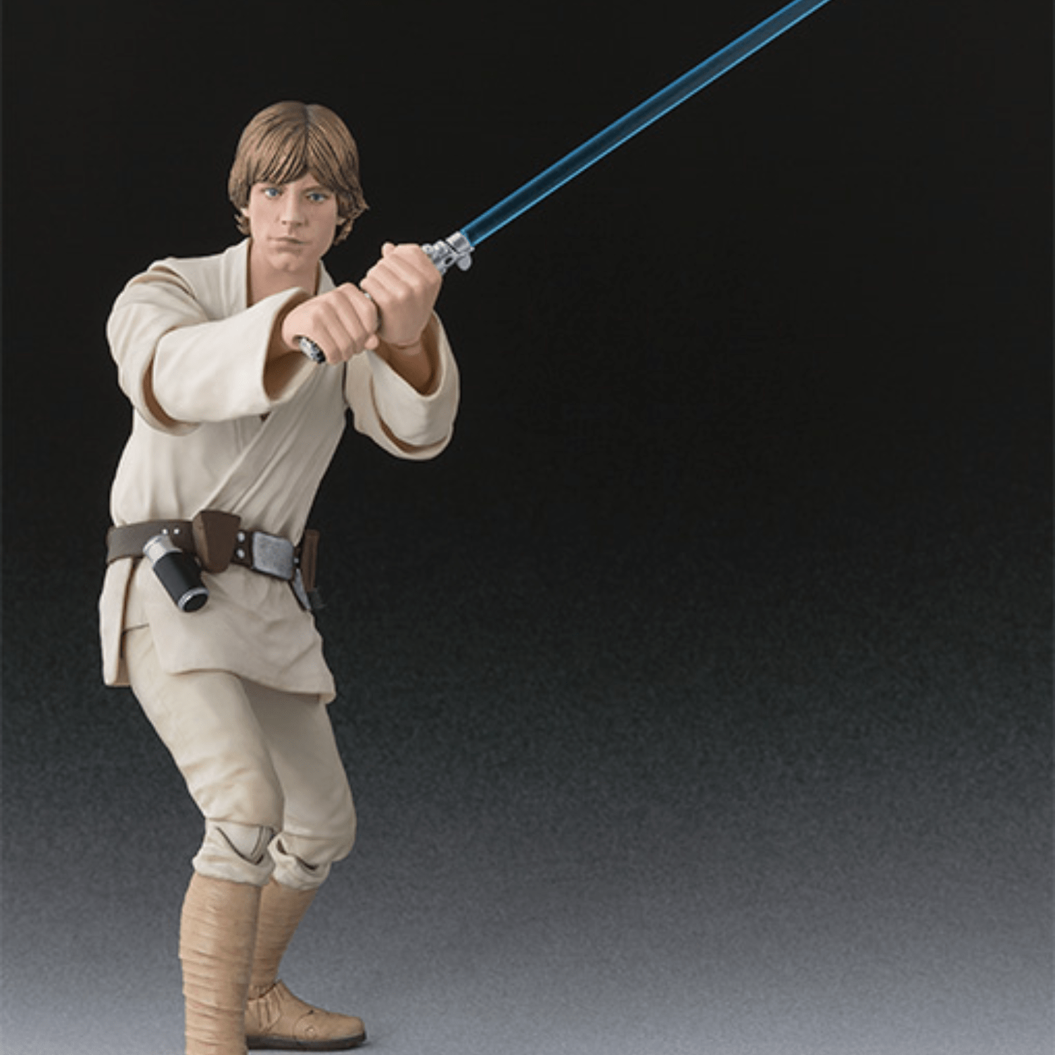 S.H. Figuarts Star Wars Luke Skywalker (A New Hope)、mySite、hgirdovlk