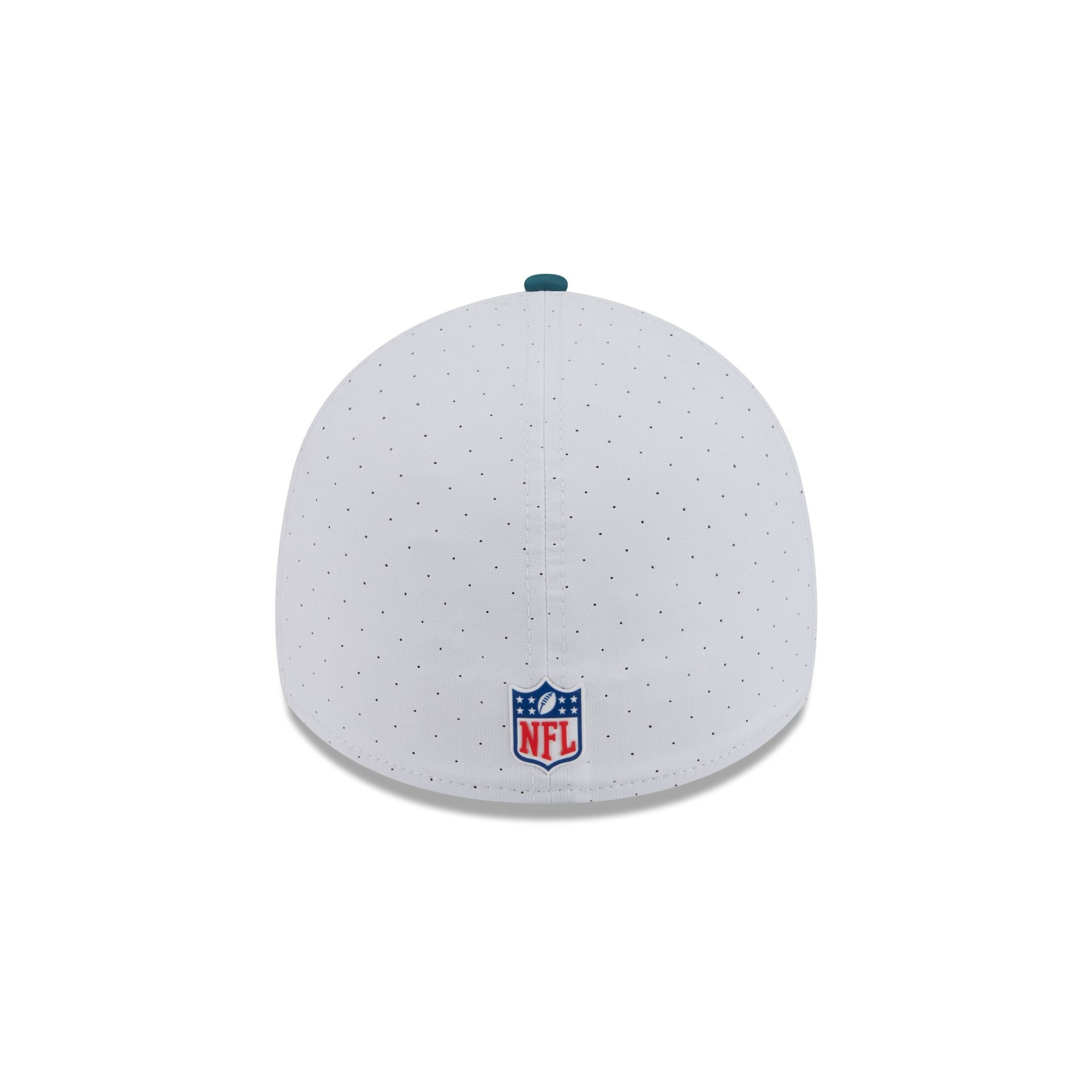 Philadelphia Eagles 2025 Training 39THIRTY Stretch Fit Hat、mySite、vikingsvslions