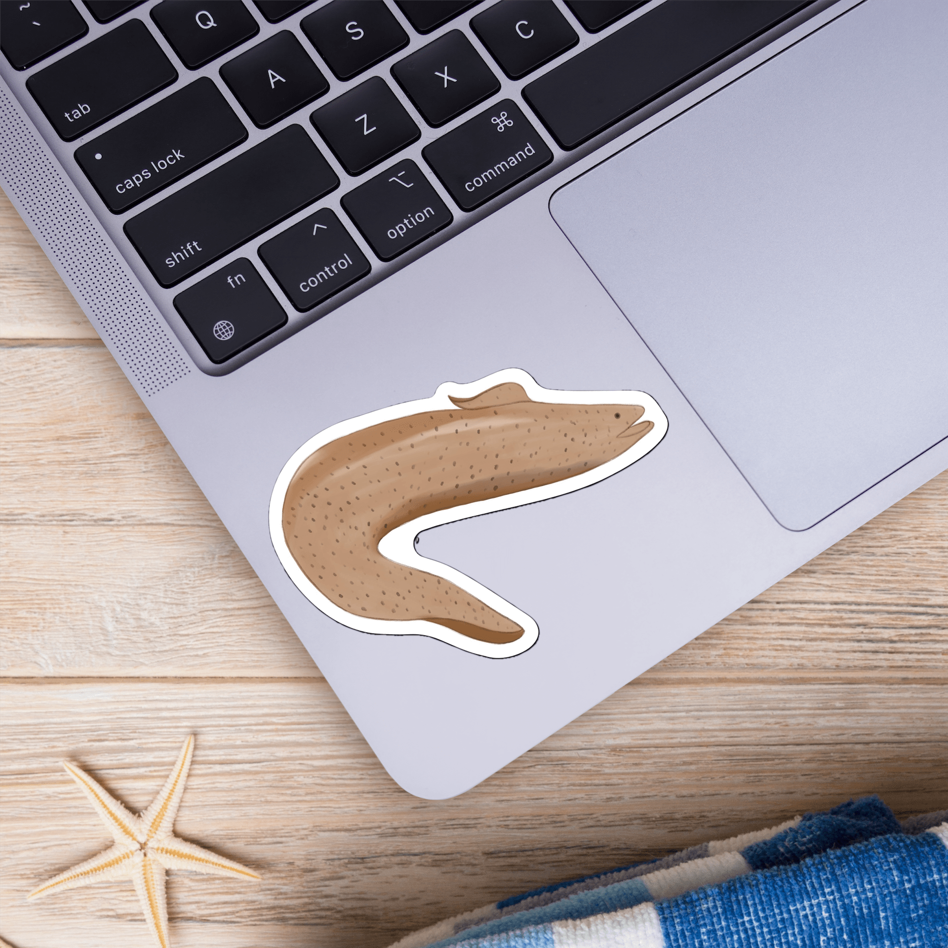  Tan Eel Sticker、mySite、elrpsem3k