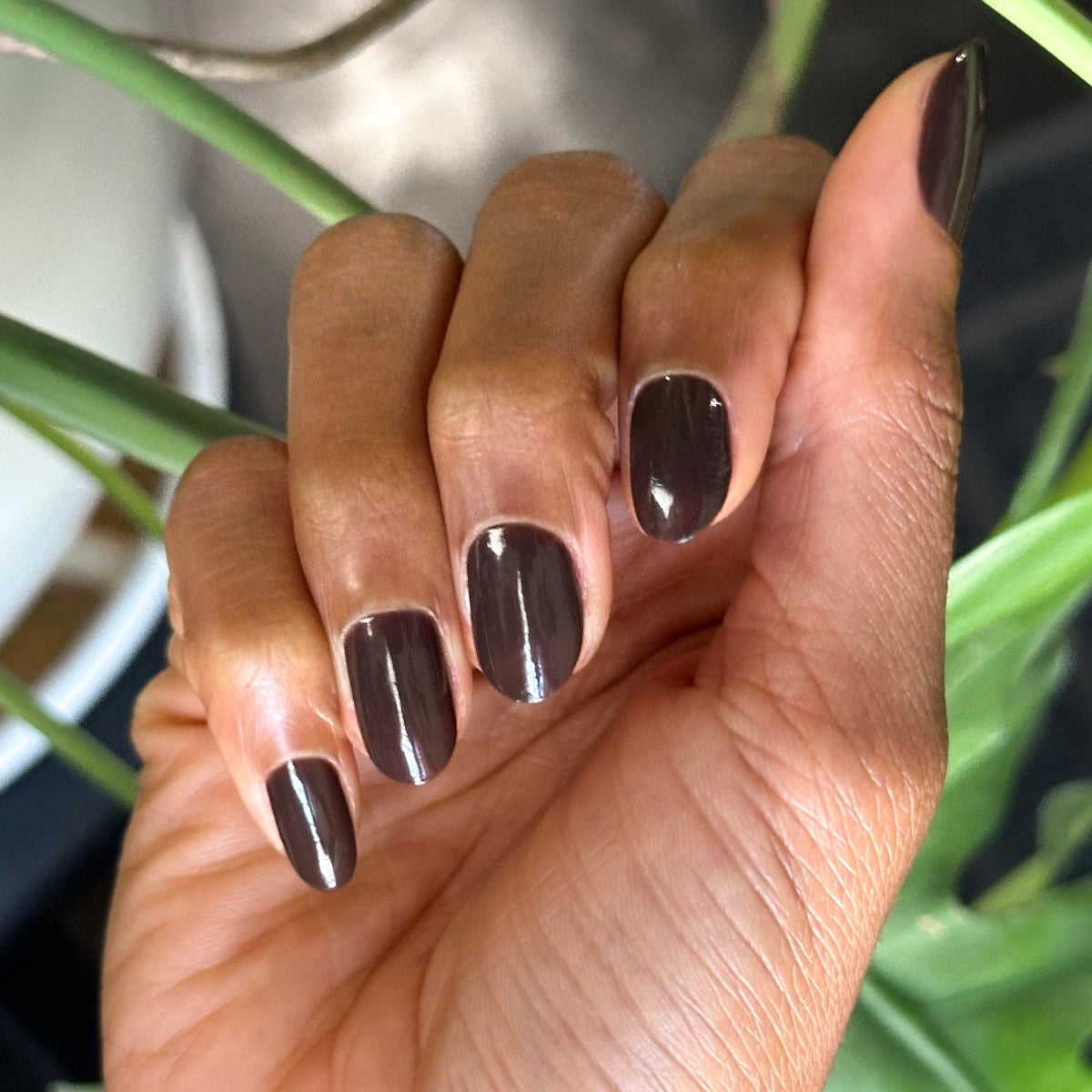 Dark Chocolate、mySite、solidvoid